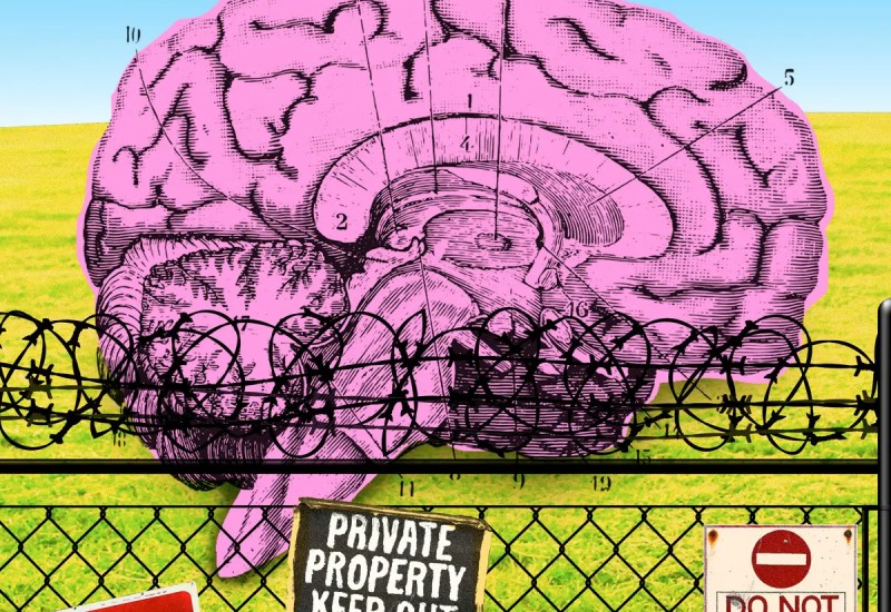 Breaking the Mental Fences: A Pathway to Unleashed Potential